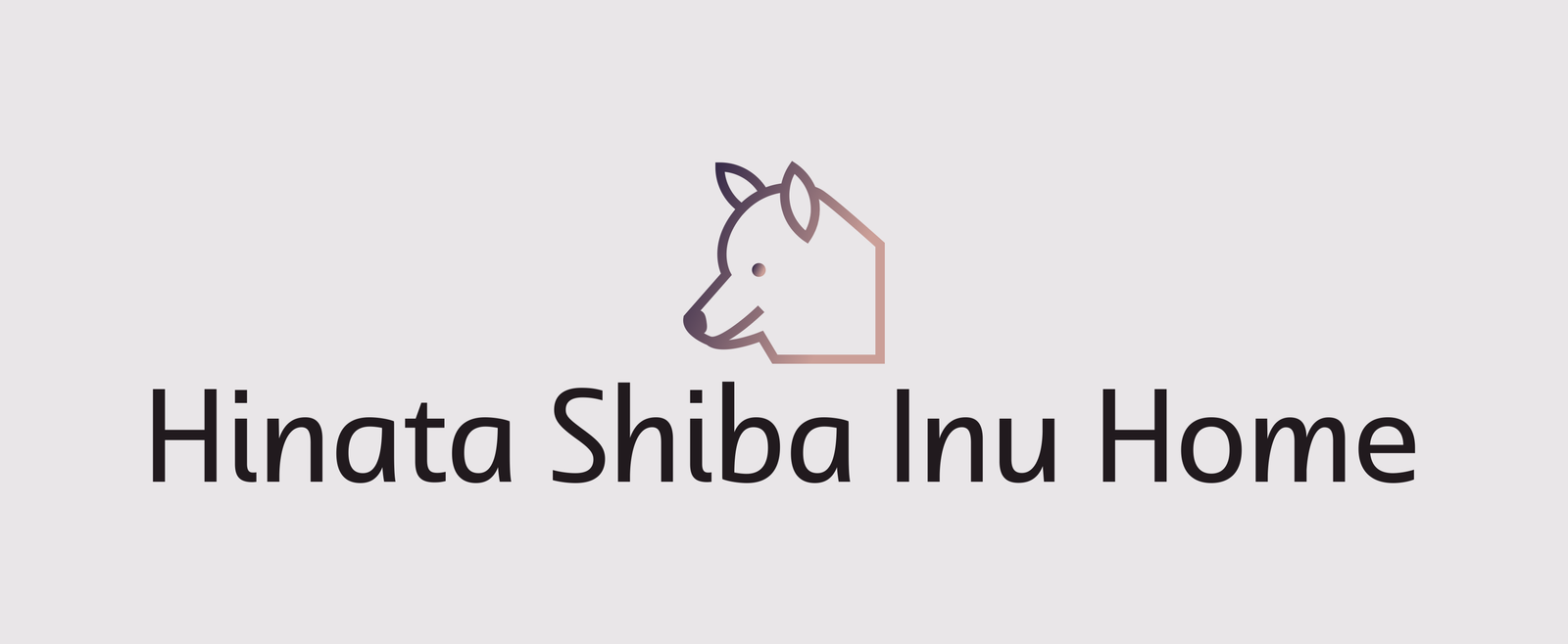 Hinata Shiba Inu Puppy Home